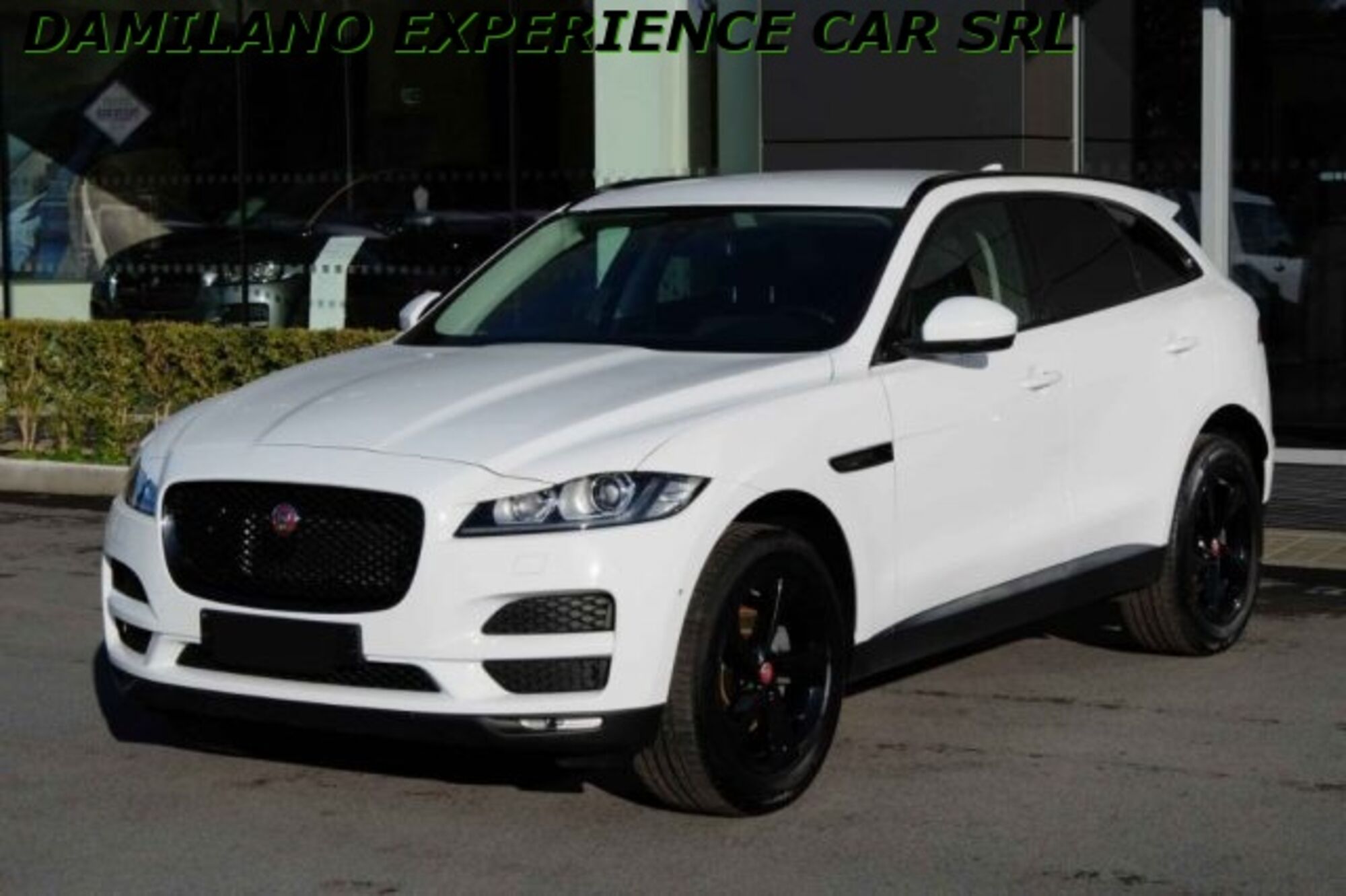 Jaguar F-Pace 2.0 D 180 CV AWD aut. R-Sport Black Edition del 2018 usata a Cuneo