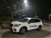 Subaru Forester 2.0 e-Boxer MHEV CVT Lineartronic Premium my 19 nuova a Modena (12)