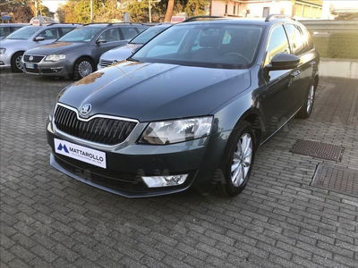 Skoda Octavia Station Wagon 1.6 TDI CR 110 CV 4x4 Wagon Ambition del 2016 usata a Villorba