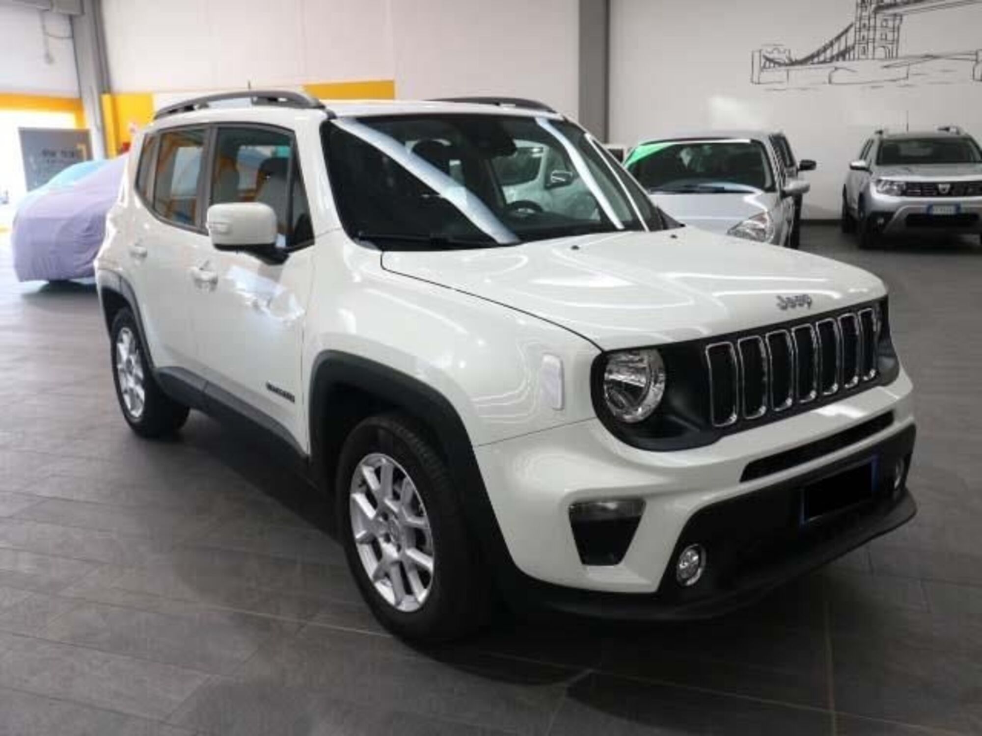 Jeep Renegade 1.6 Mjt 120 CV Longitude  del 2019 usata a Vaiano Cremasco