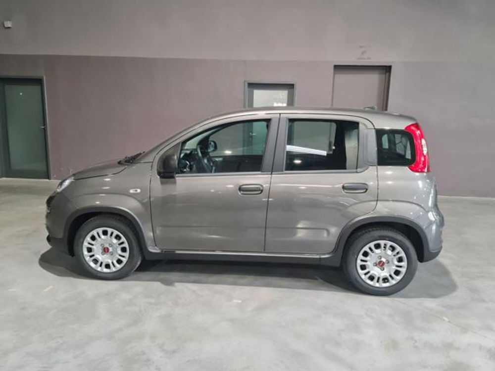 Fiat Panda nuova a Torino (3)