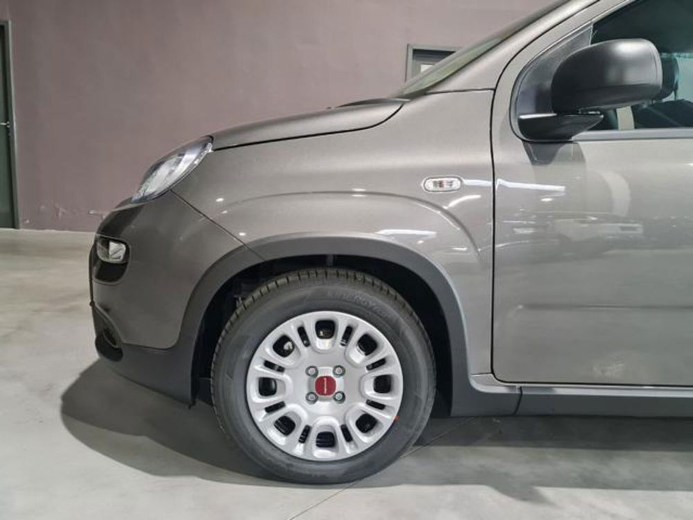 Fiat Panda nuova a Torino (4)