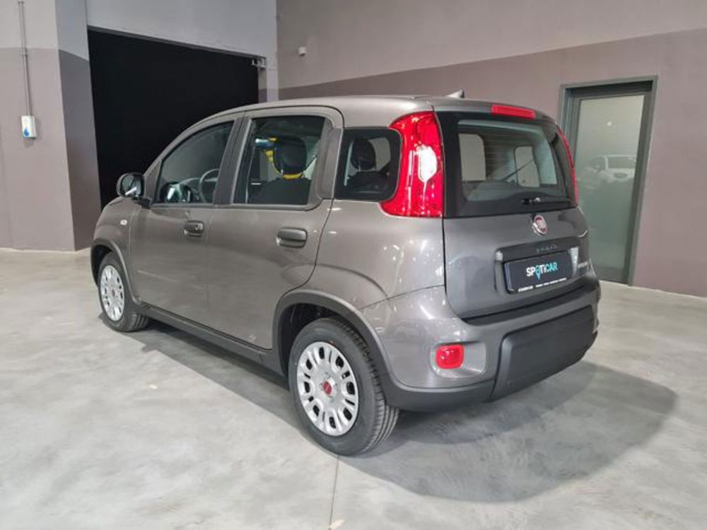 Fiat Panda nuova a Torino (5)