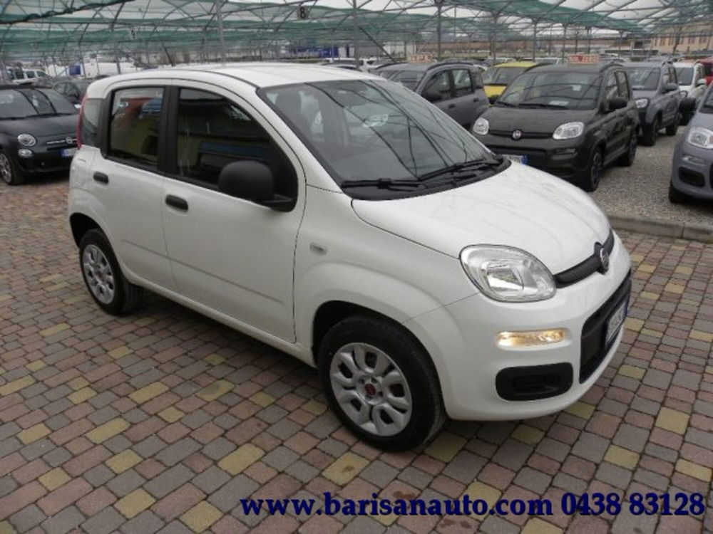 Fiat Panda usata a Treviso (2)