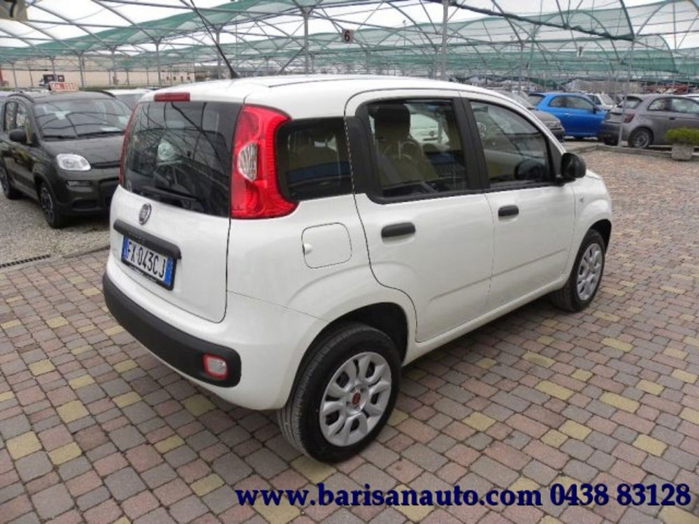 Fiat Panda usata a Treviso (3)