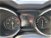 Alfa Romeo Stelvio Stelvio 2.2 Turbodiesel 190 CV AT8 RWD Business  del 2018 usata a San Giorgio a Liri (19)