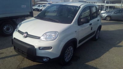 Fiat Panda van 1.0 hybrid Easy 70cv 4p.ti serie 3 E6d nuova a Torino