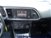 SEAT Leon 1.6 TDI 115 CV 5p. Style  del 2017 usata a Pieve di Soligo (12)