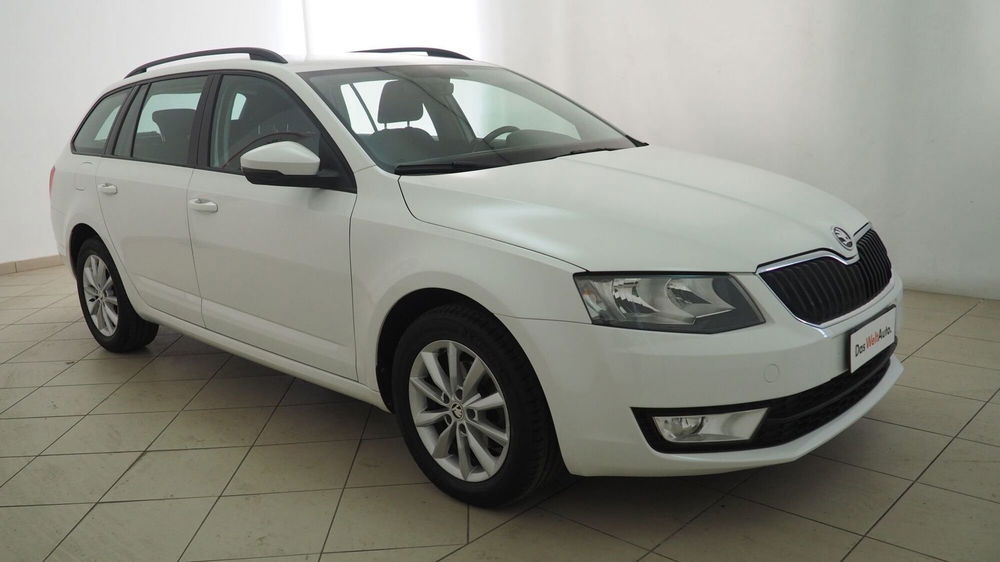 Skoda Octavia Station Wagon usata a Torino (7)