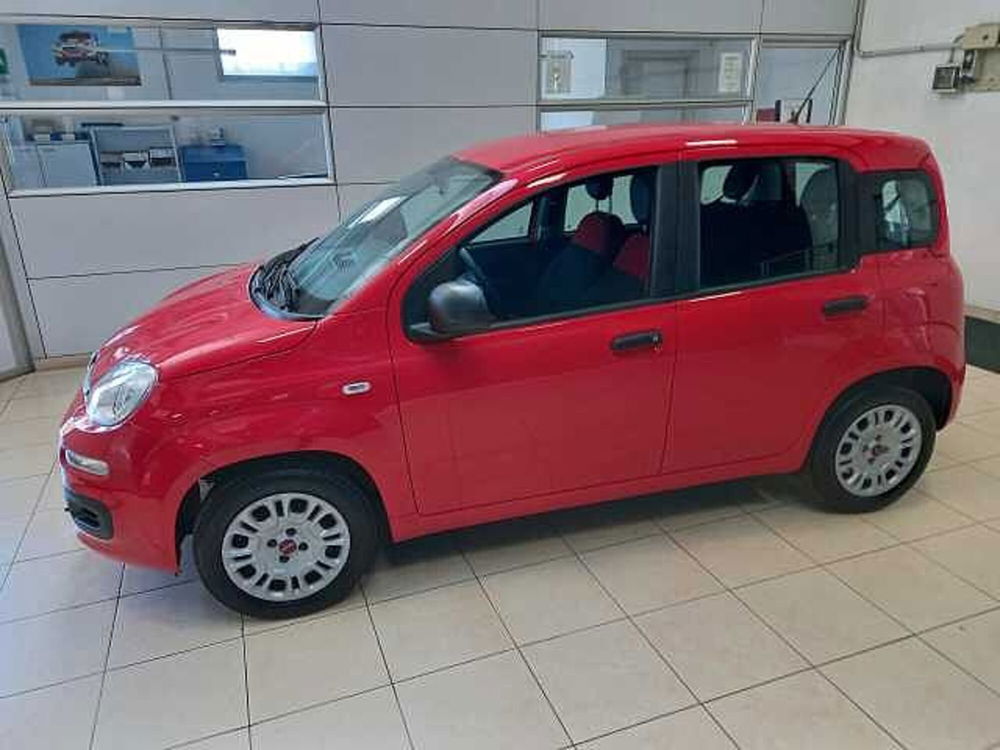 Fiat Panda usata a Varese (2)