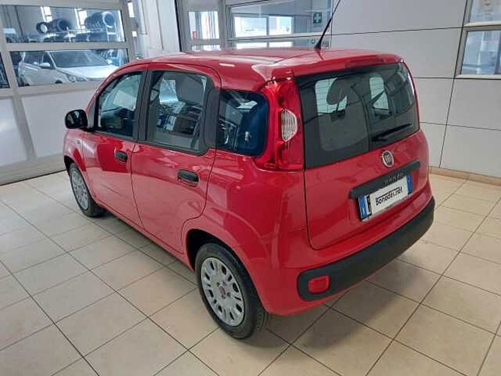 Fiat Panda usata a Varese (3)