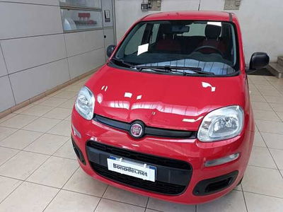 Fiat Panda 1.2 Easy  del 2018 usata a Saronno