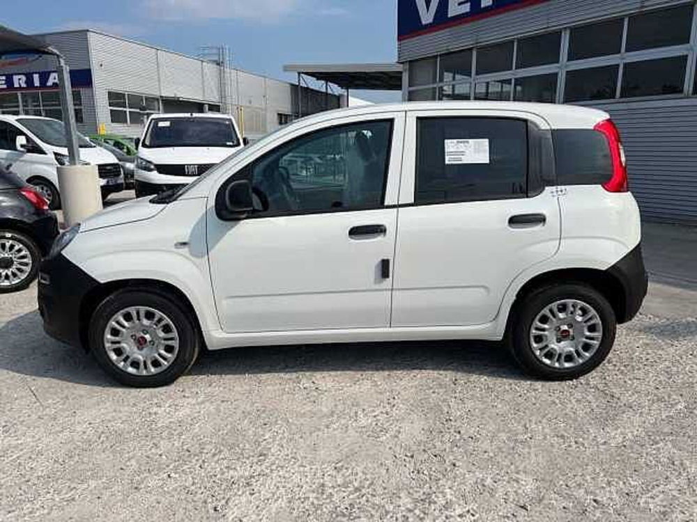 Fiat Panda nuova a Cuneo (6)