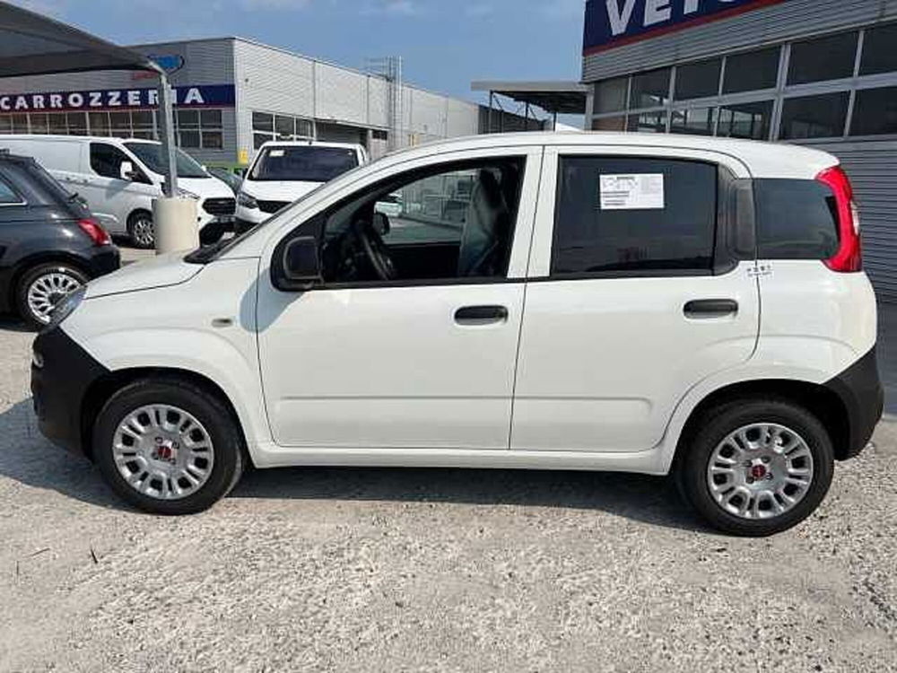 Fiat Panda nuova a Cuneo (6)