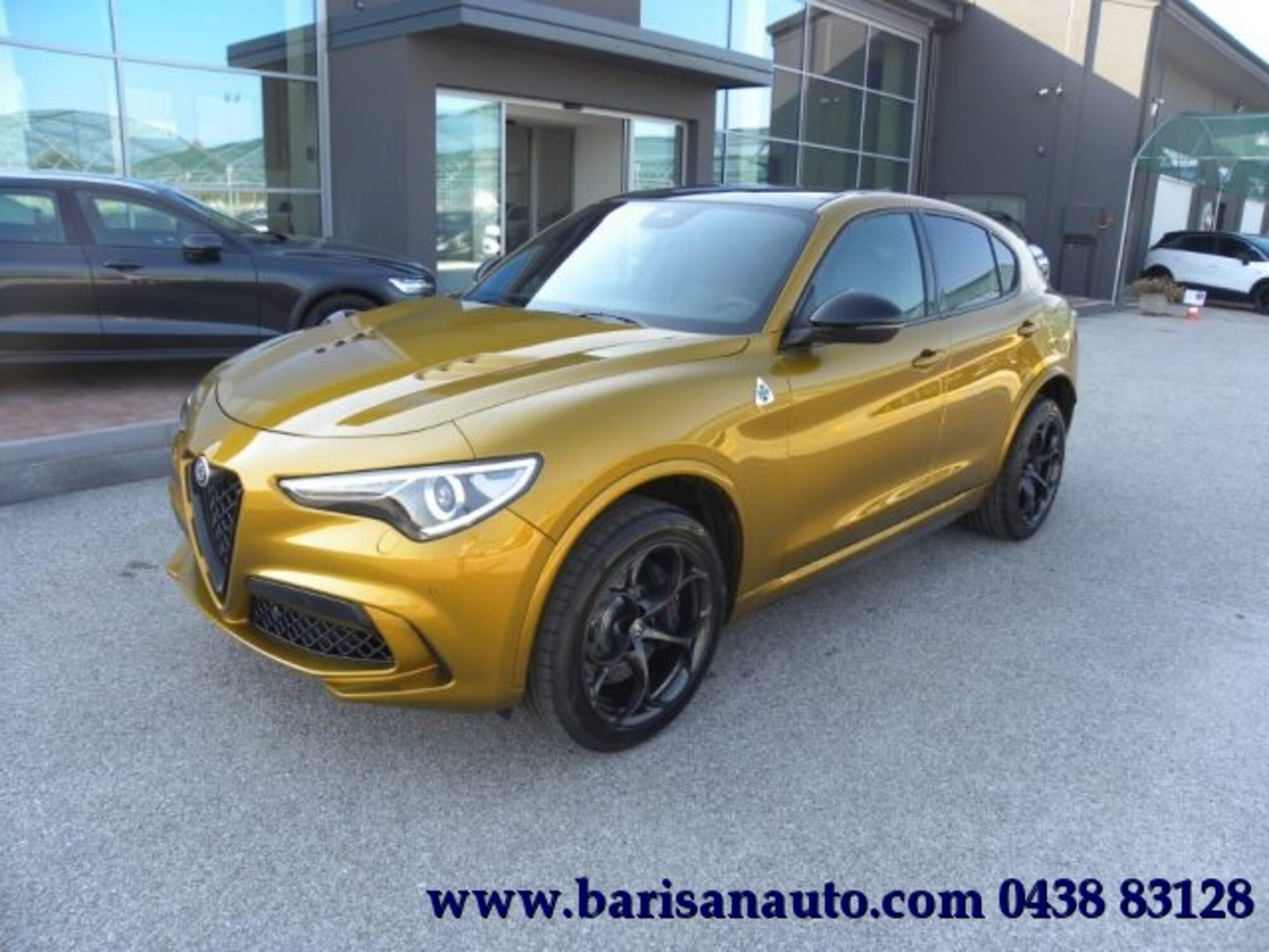 Alfa Romeo Stelvio Stelvio 2.9 Bi-Turbo V6 510 CV AT8 Quadrifoglio  nuova a Pieve di Soligo