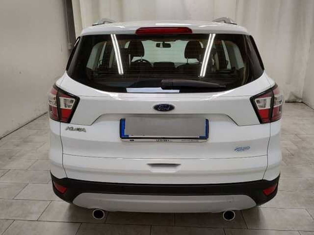 Ford Kuga usata a Cuneo (3)