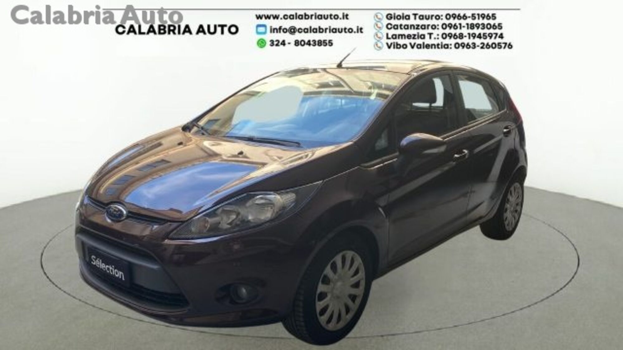 Ford Fiesta 1.2 60CV 5 porte  del 2011 usata a Gioia Tauro