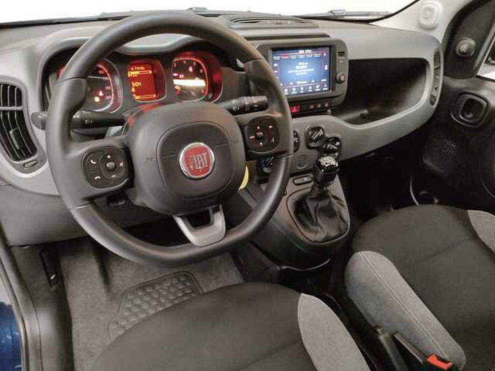 Fiat Panda usata a Teramo (9)