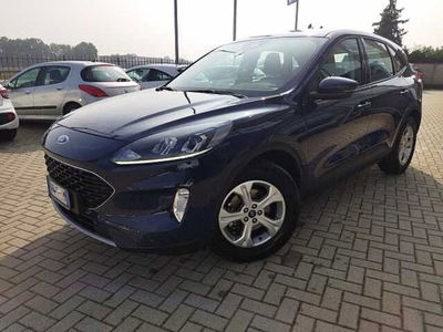 Ford Kuga 1.5 EcoBlue 120 CV aut. 2WD  del 2021 usata a Airasca