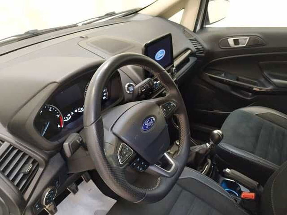 Ford EcoSport usata a Cuneo (10)