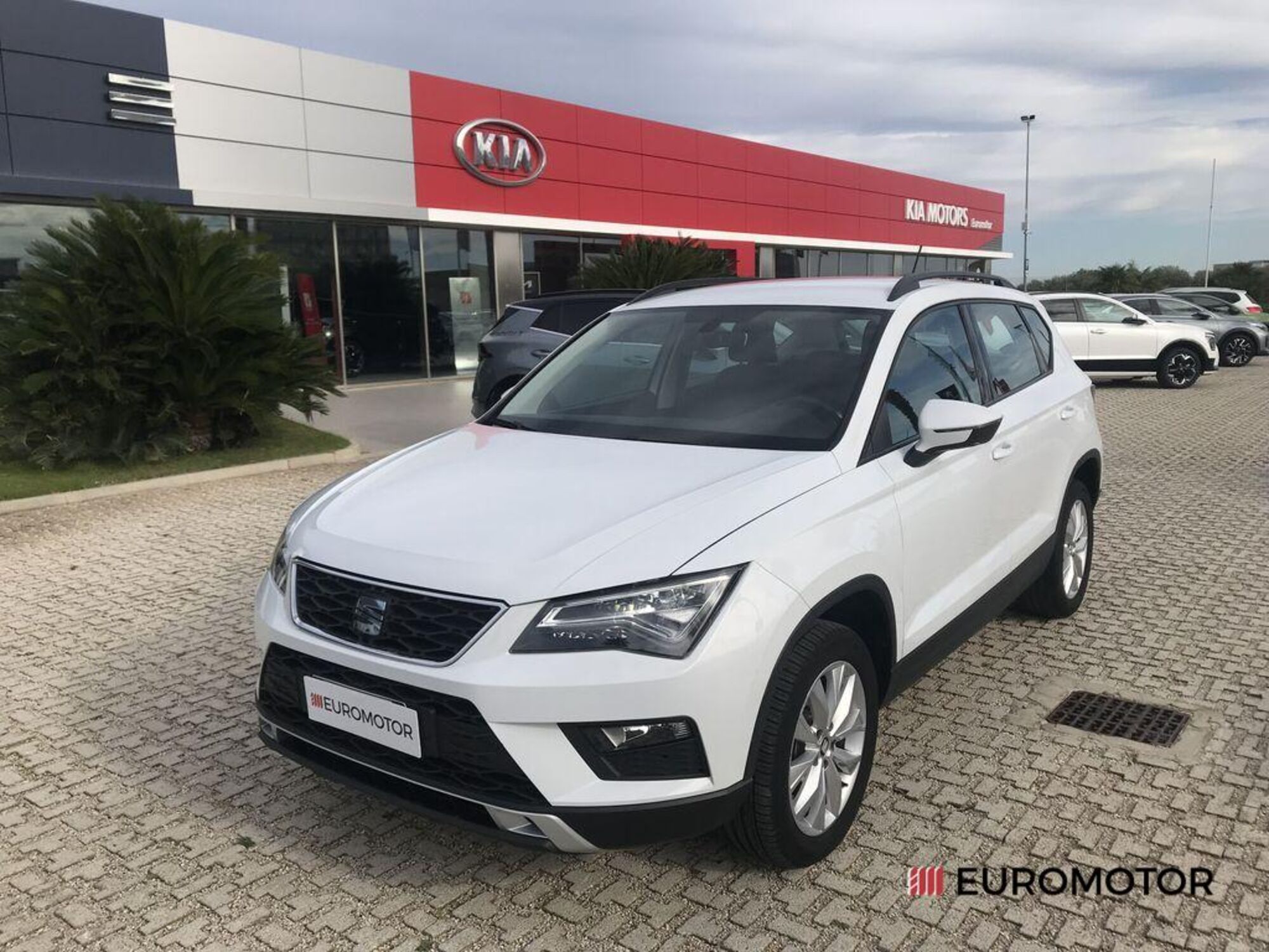 SEAT Ateca 1.6 TDI Business  del 2017 usata a Modugno