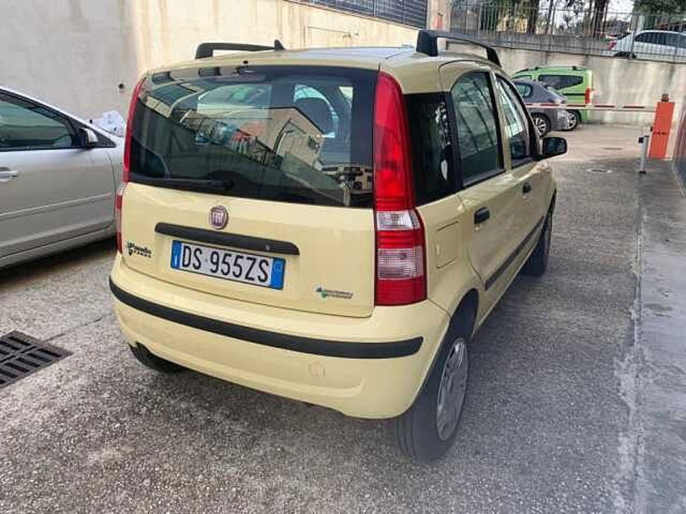 Fiat Panda usata a Roma (10)