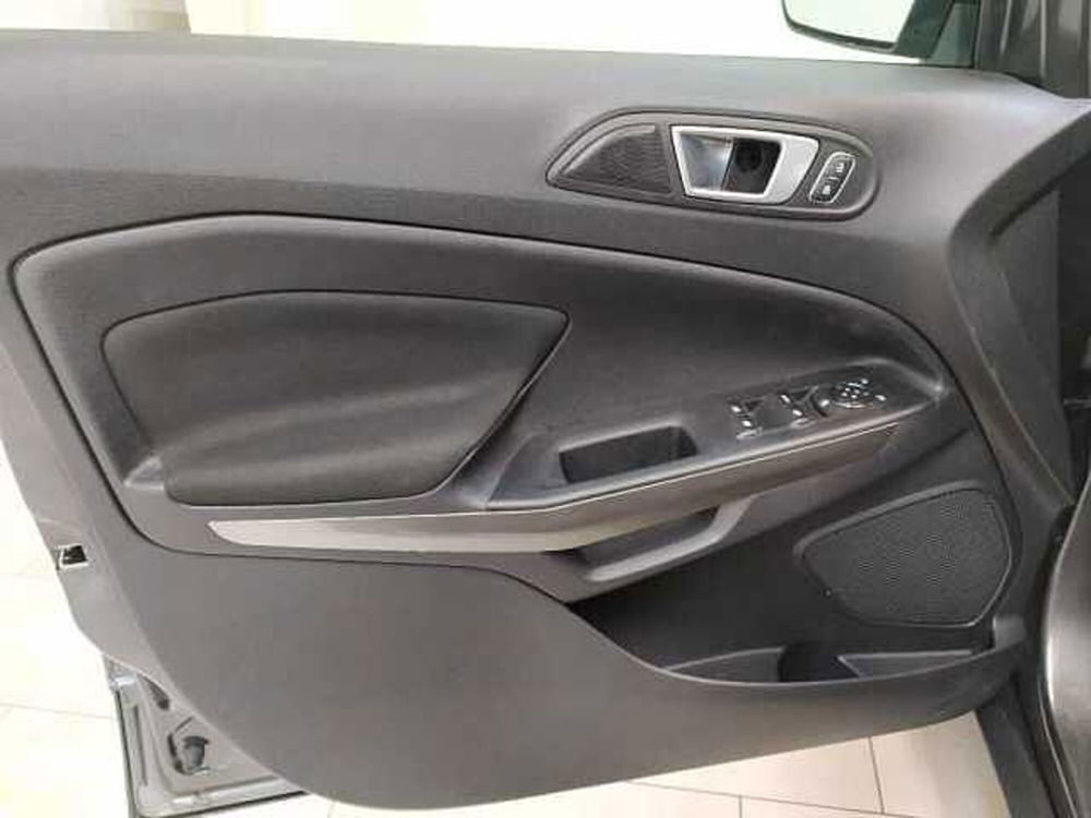 Ford EcoSport usata a Cuneo (16)