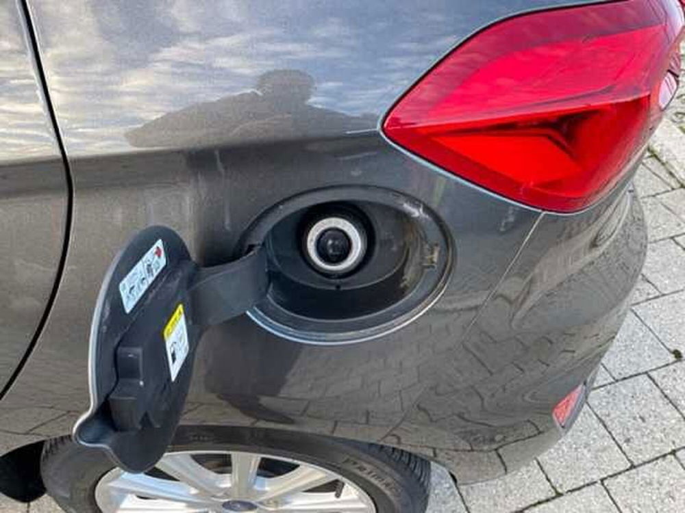 Ford Fiesta usata a Cuneo (13)