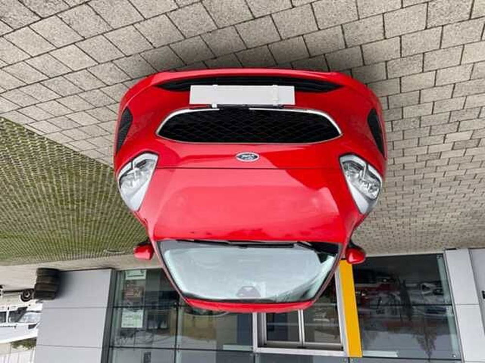 Ford Fiesta 1.1 75 CV GPL 5 porte Plus  del 2019 usata a Cuneo (2)