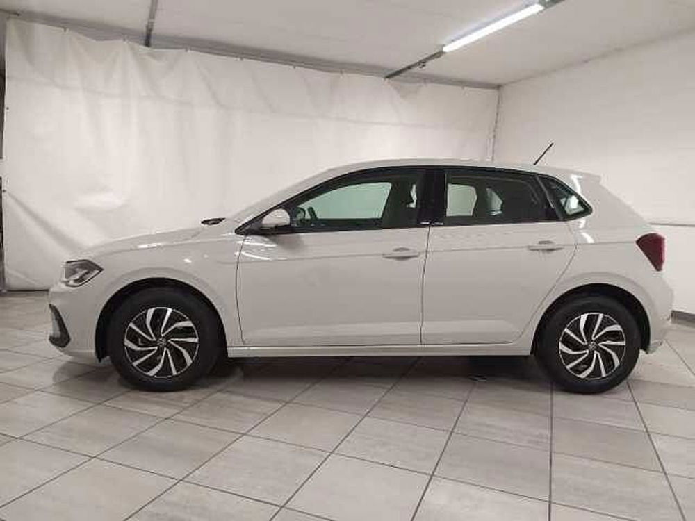 Volkswagen Polo nuova a Cuneo (4)