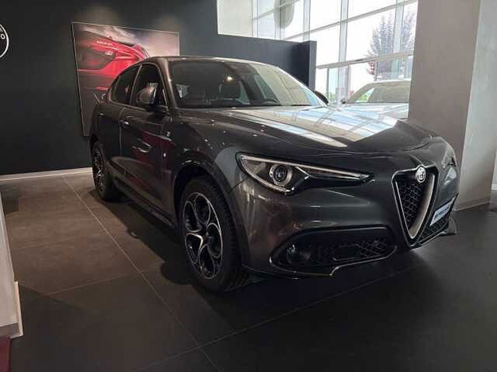 Alfa Romeo Stelvio nuova a Cuneo (3)