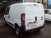Fiat Fiorino 1.3 MJT 80CV Cargo  del 2016 usata a Faenza (9)