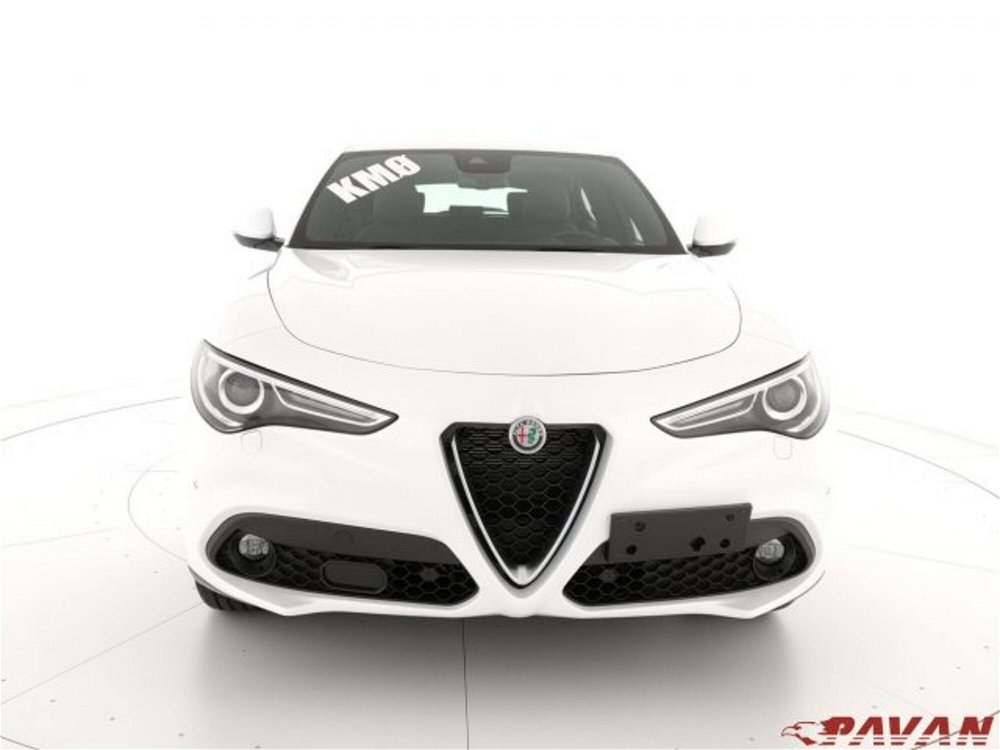 Alfa Romeo Stelvio Stelvio 2.2 Turbodiesel 210 CV AT8 Q4 Ti  nuova a Piove di Sacco (2)