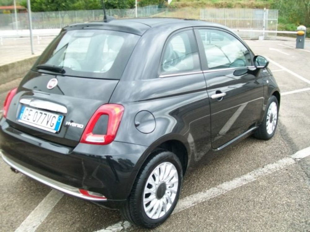 Fiat 500 usata a Frosinone (6)