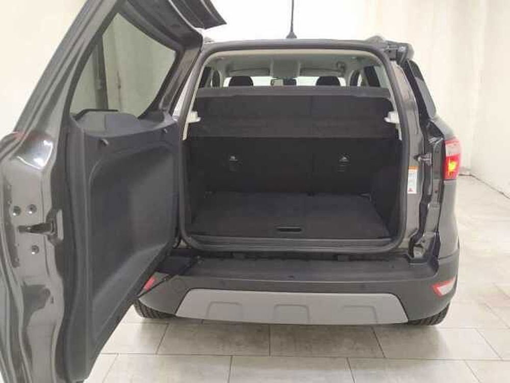 Ford EcoSport usata a Cuneo (8)