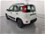 Fiat Panda 1.2 EasyPower City Life  nuova a Cuneo (7)