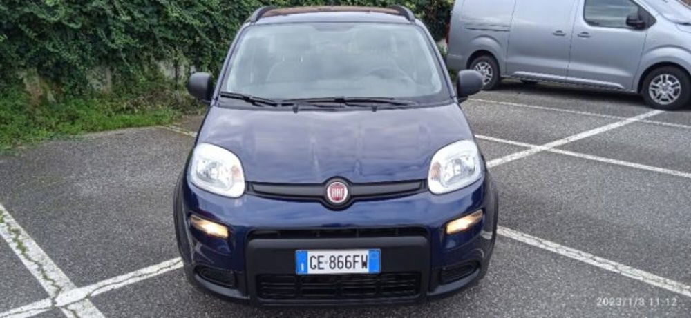 Fiat Panda 1.0 FireFly S&S Hybrid City Life  del 2021 usata a San Giorgio a Liri