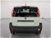 Fiat Panda 1.0 GSE S&S Hybrid Pop Van 2 posti  nuova a Cuneo (6)
