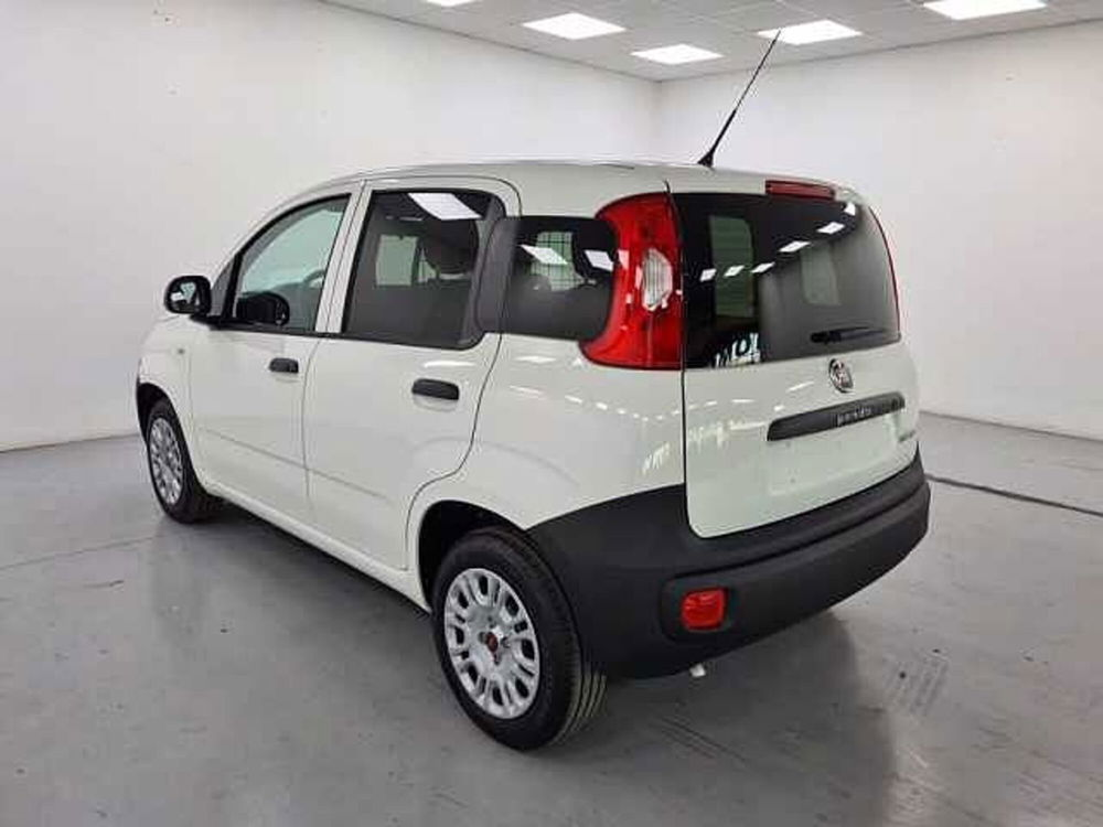 Fiat Panda nuova a Cuneo (7)