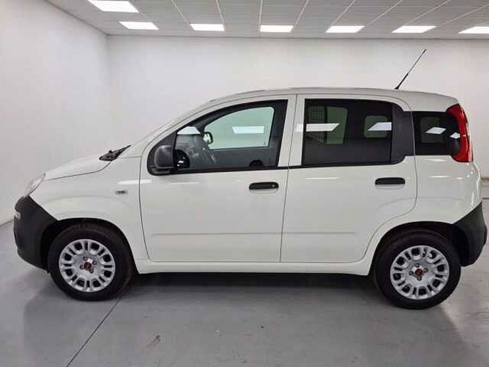 Fiat Panda nuova a Cuneo (8)