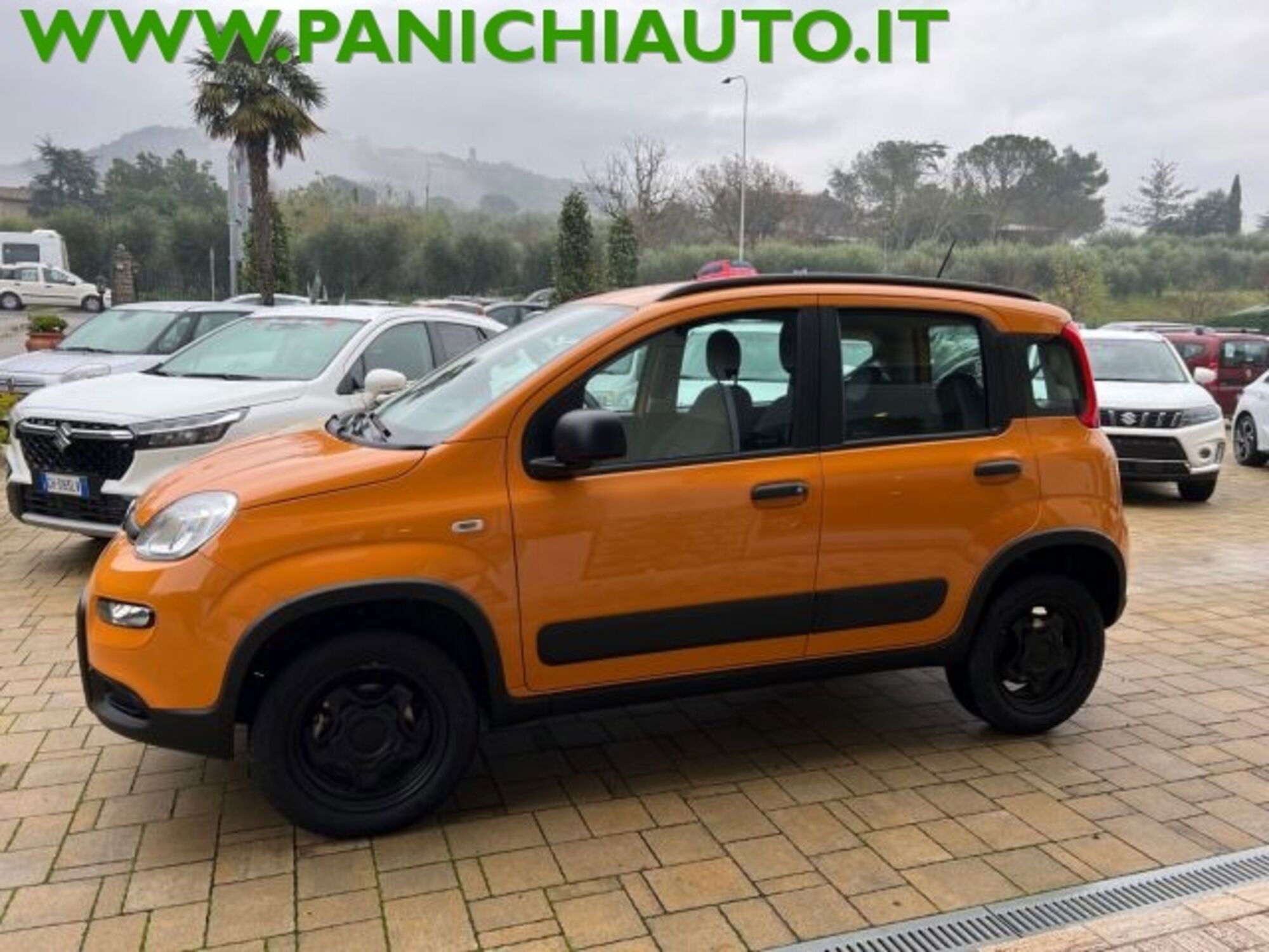 Fiat Panda 0.9 TwinAir Turbo S&amp;S 4x4 Wild del 2021 usata a Cortona