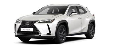 Lexus UX Hybrid Urban nuova a Perugia