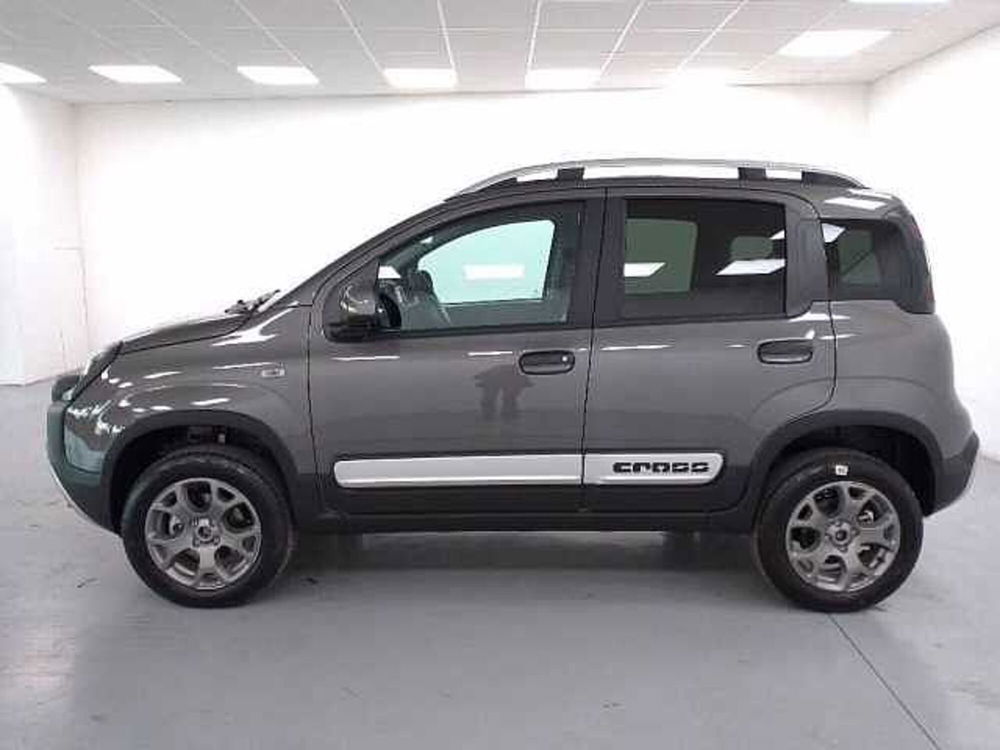 Fiat Panda nuova a Cuneo (5)