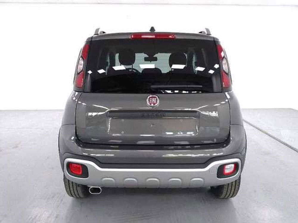 Fiat Panda nuova a Cuneo (7)