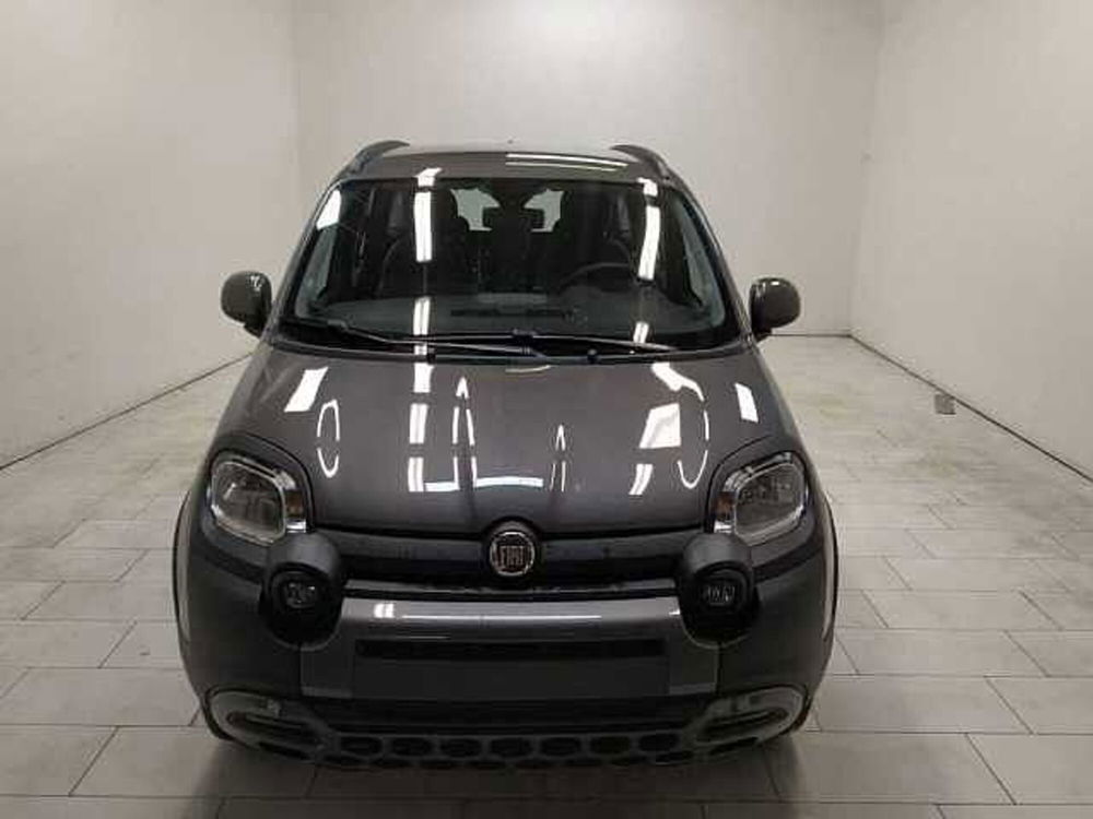 Fiat Panda nuova a Cuneo (2)