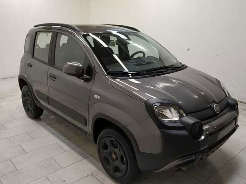 Fiat Panda nuova a Cuneo (3)