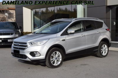 Ford Kuga 2.0 TDCI 150 CV S&amp;S 4WD Powershift Business  del 2018 usata a Cuneo