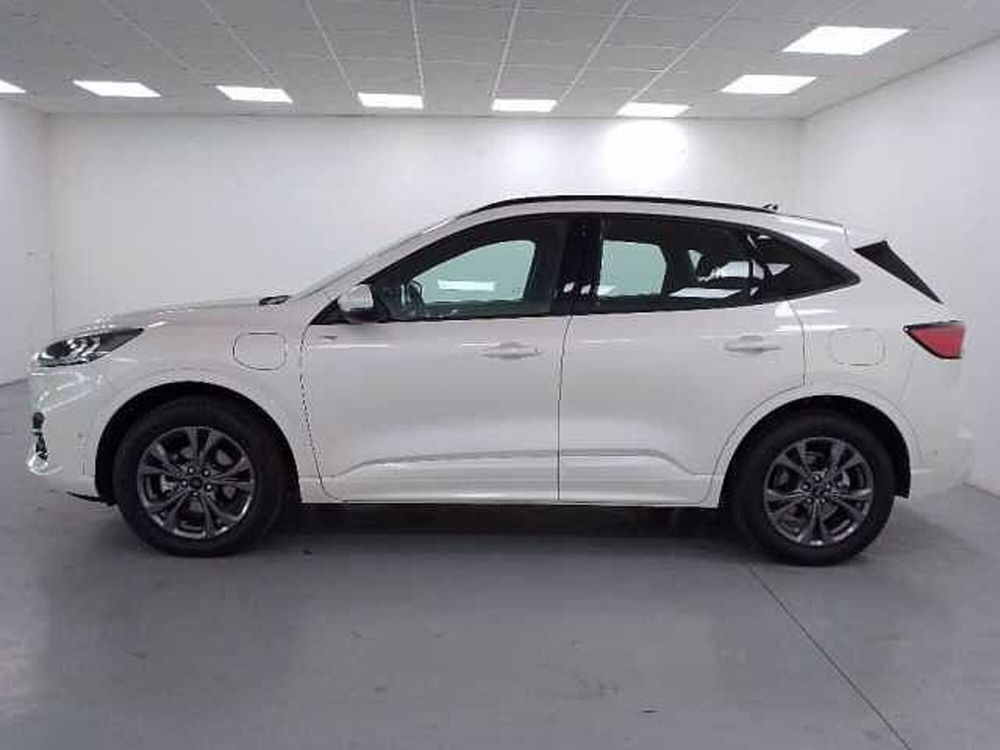 Ford Kuga 2.5 Plug In Hybrid 225 CV CVT 2WD ST-Line  del 2021 usata a Cuneo (5)