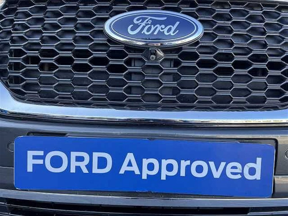 Ford Edge 2.0 TDCI 210 CV AWD Start&Stop Powershift Vignale del 2018 usata a Monopoli (5)