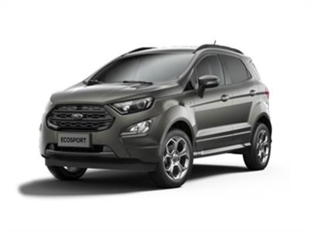 Ford EcoSport 1.0 EcoBoost 125 CV Start&Stop Business  del 2019 usata a Bari